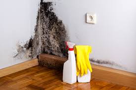 Reliable Tulare, CA Mold Prevention & Removal  Solutions